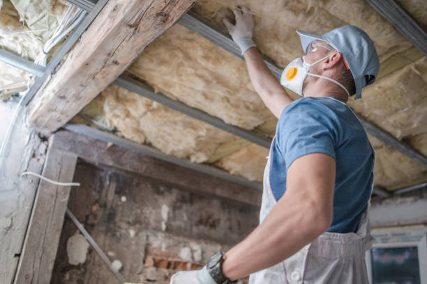 Best Blown-in Insulation in Mammoth Lakes, CA