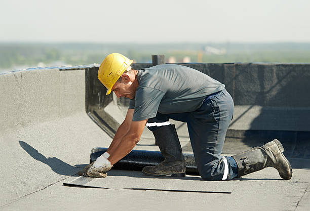 Best Geographic-Specific Insulation Services in Mammoth Lakes, CA
